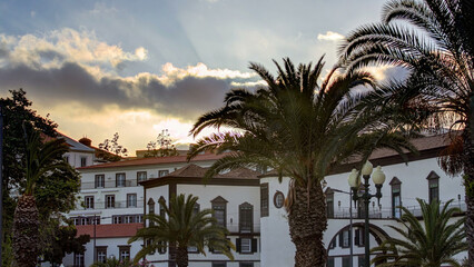 Sunset over houses and palms in Funchal, Madeira, Portugal timelapse