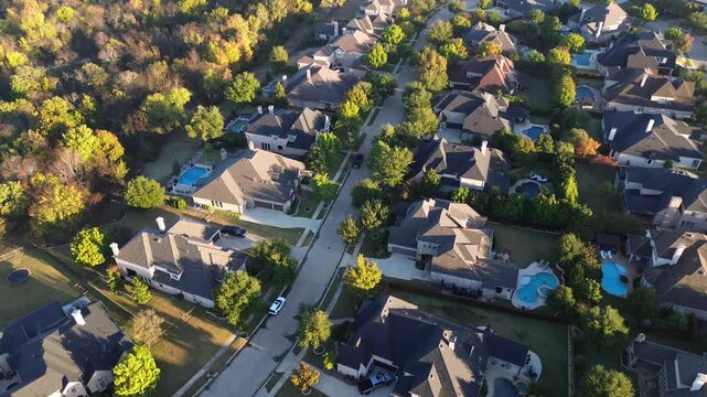 Tree-lined suburban street in Lantana, Texas, showcasing curved layout, upscale brick mansion homes, landscaped yards, fall foliage, backyard pools nestled beside dense forest edge green buffer
