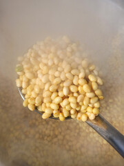 Traditional Soybean Boiling and Meju Fermentation Process