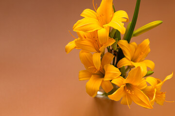 Obraz premium Beautiful yellow flower gift for Mother Day