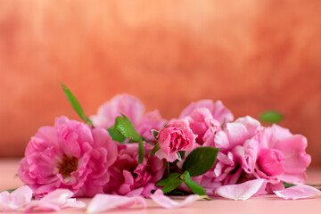 Delicate pink roses on abstract brown background