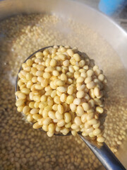 Traditional Soybean Boiling and Meju Fermentation Process