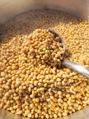 Traditional Soybean Boiling and Meju Fermentation Process