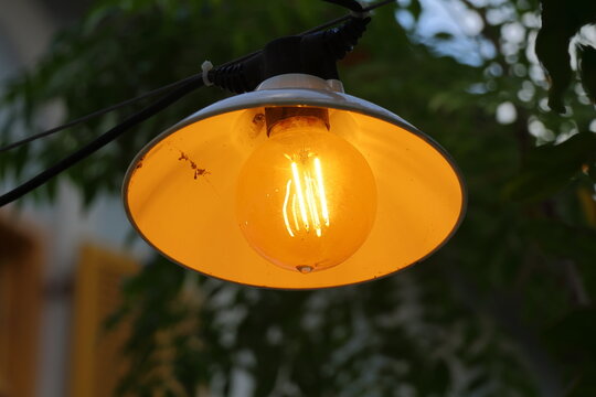 Vintage light bulb on the wall in the garden, stock photo