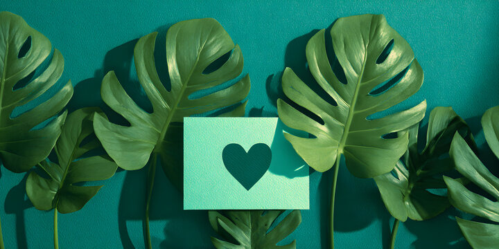 Surreal Minimalist Love Affair: Captivating Heart-Shaped Composition in Ethereal, Evocative Tones