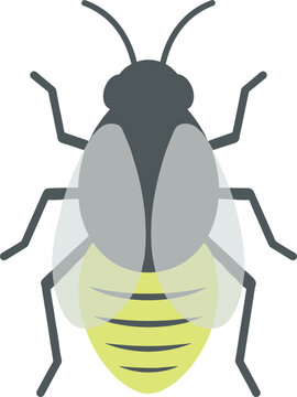 Simple Flat Firefly Insect Glowing Light Bug Graphic Illustration