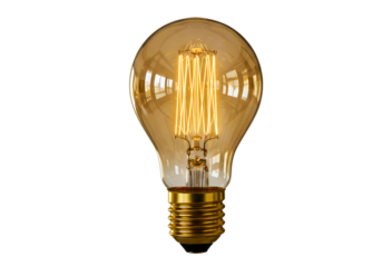 Illuminating Edison-style filament light bulb with warm amber glow on white background