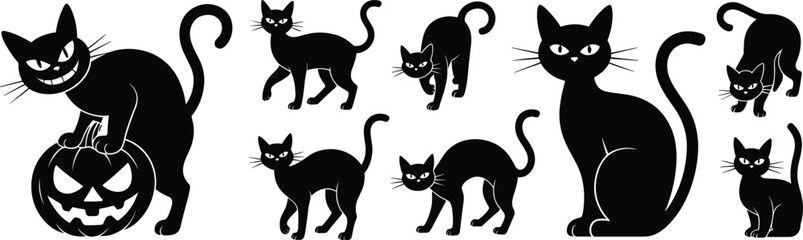 Black cat illustrations in various poses, including Halloween pumpkin scene, perfect for spooky, festive, mystical, and seasonal vector design themes