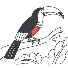 toucan on a branch