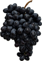 branch of grapes on a clean background png