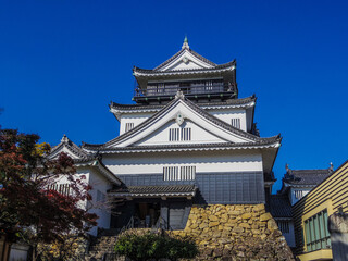 【愛知県】岡崎市・岡崎城