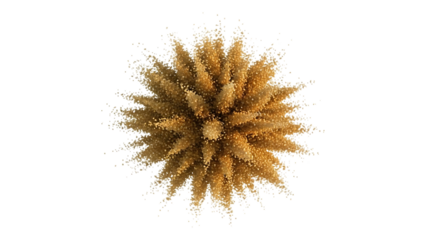 Explosion of golden powder isolated on transparent background, top view, studio shot