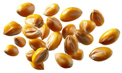 Golden Maize Kernels: A cluster of fresh, ripe maize kernels, each one a testament to nature's bounty and culinary potential. The image showcases the vibrant texture and color.