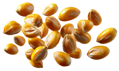 Golden Maize Kernels: A cluster of fresh, ripe maize kernels, each one a testament to nature's bounty and culinary potential. The image showcases the vibrant texture and color.
