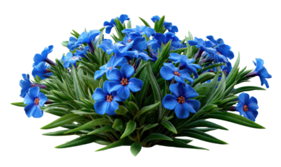 Vibrant blue Flowers Blooming: A cluster of bright, vivid blue flowers blossoms forth, offering a visual symphony of freshness and delicate beauty.