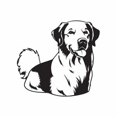 golden retriever illustration