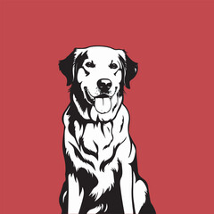 Golden Retriever dog vector