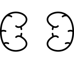 Kidneys Icon