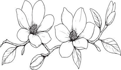  Horizontal seamless border with magnolia flowers clean silhouette vector illustration © Silhouette Vector