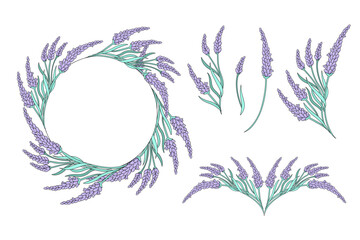 Lavender wreath and floral elements. Hand-drawn botanical illustration for invitations, cards, packaging and logo design.