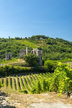 Castle ruins standing among terraced vineyards in France