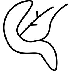 Pancreas Icon
