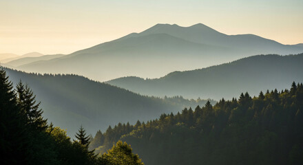 Mountain and forest landscape at sunrise with natural light and clear detail