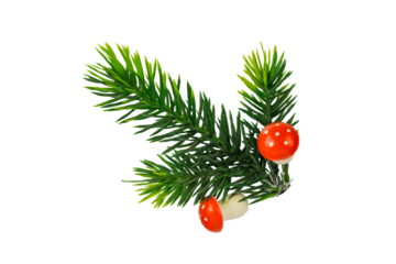 green pine or fir tree branch decorated with two small red and white toadstool mushrooms isolated on a clean white background concept of holiday decoration, winter nature, christmas retail