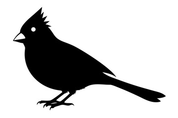Obraz premium Cardinal bird silhouette vector, cardinal bird black symbol 