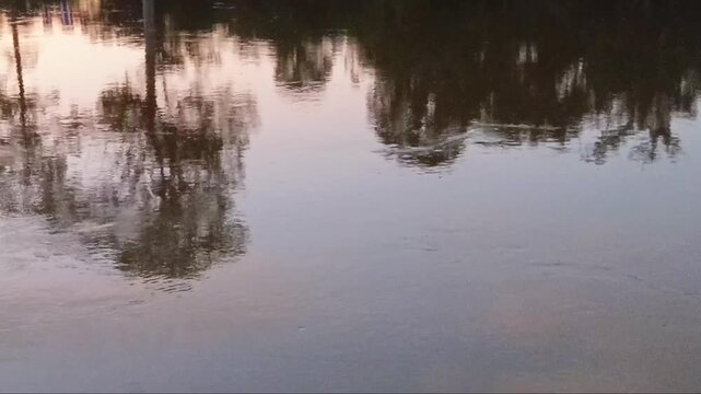 Blurred Trees Shadow on Water Surface
