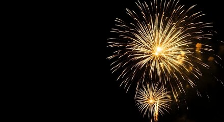 fireworks in the night sky