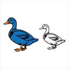 Coloring Book For Kid Duck Image Vector