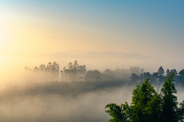 A beautiful winter view of morning light streaming down through the mist, mountains, trees and rice fields in rural Chiang Rai Province, Northern Thailand.