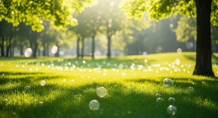 Sunny park grass with floating soap bubbles