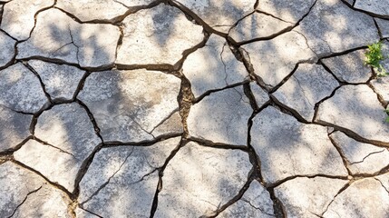 Severely cracked and displaced pavement stones show intricate patterns and textures under dappled sunlight