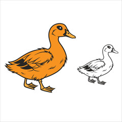 Coloring Book For Kid Duck Image Vector