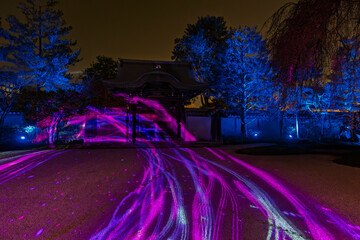 Beautiful illuminated Kodai-ji temple during illumination show with pink and blue spring foilage in Kyoto, Japan.