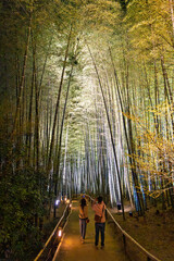 People walking and photographing in illuminated Kodai-ji temple bamboo forest during springtime, illumination show in Kyoto, Japan.
