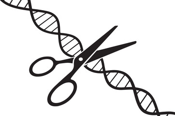 CRISPR Gene Editing Icon, DNA Cut Illustration in Black Silhouette