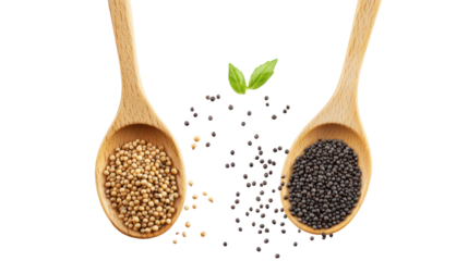 Two piles of basil seeds and mustard seeds falling in the air on transparent background