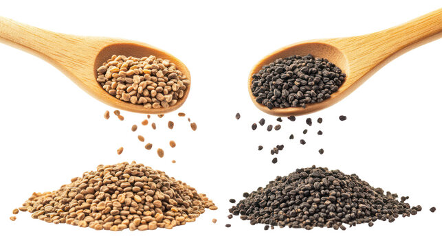 Two wooden spoons with fenugreek and black cumin seeds isolated on transparent background