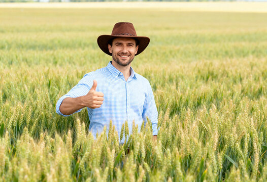 Confident farmer showing a thumbs up in a golden wheat field. Portrait of a smiling agronomist inspecting a successful crop. Agriculture and farming industry concept
