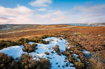 North York Moors in winter with thick heather and snow. Glaisdale, Yorkshire, UK.