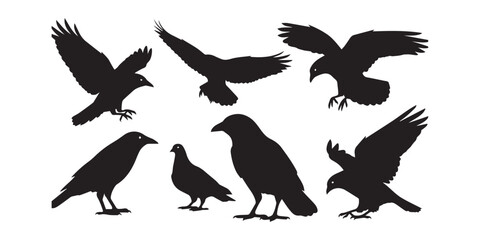 Set of Black Crow Silhouette in Different Poses Illustration Vector Against White Background