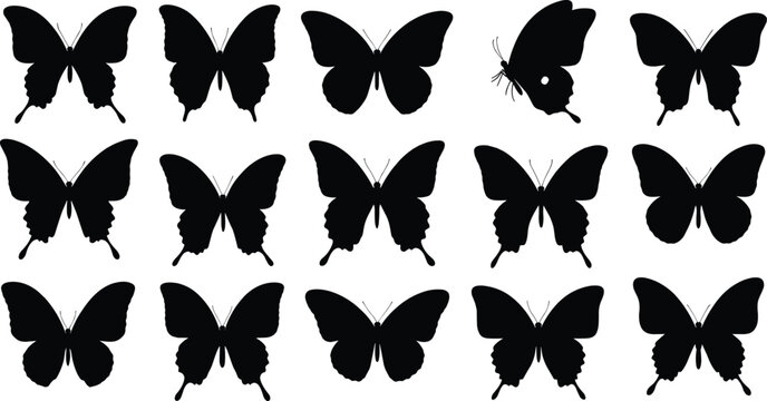 Black butterfly silhouettes, insect pattern grid, unique standout butterfly, visual puzzle, nature design, symmetrical wings, entomology art, minimal style