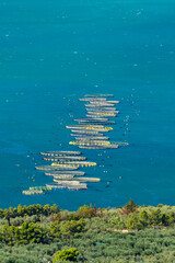 Fish farming cages on Ionian Sea near Mattinata, Apulia