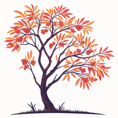 Obraz premium red bayberry tree vector