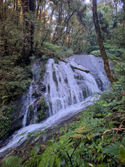A small waterfall amidst lush green forest, part of the Kiew Mae Pan Nature Trail in Doi Inthanon National Park, Chiang Mai Province.