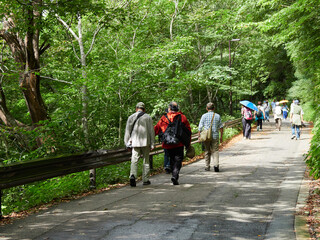 秋の世界遺産白川郷の山道で歩く人々観光客の姿