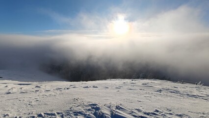 winter landscape with snow